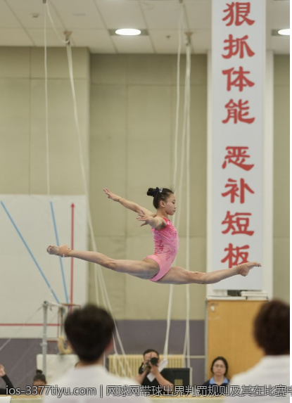 CBA联赛中的女性力量
