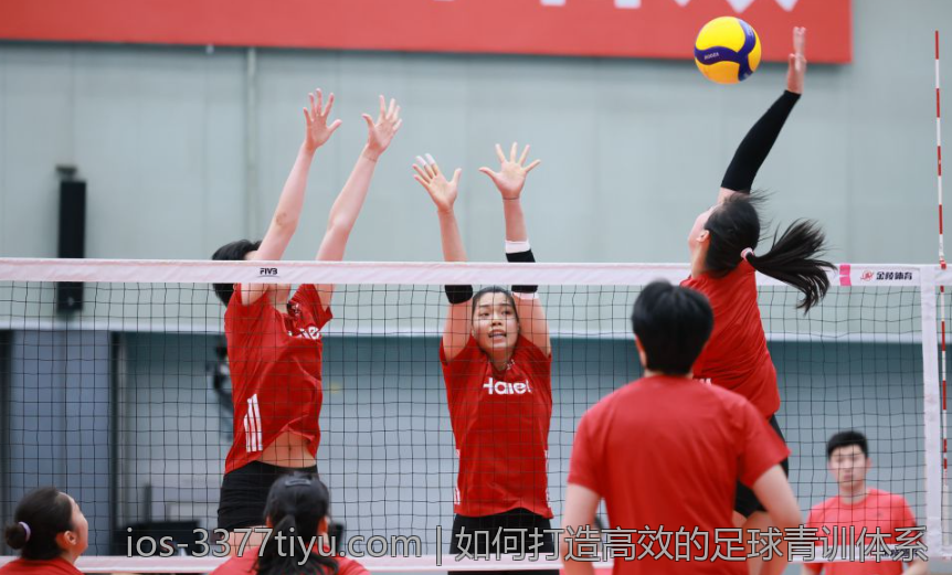 如何打造高效的足球青训体系