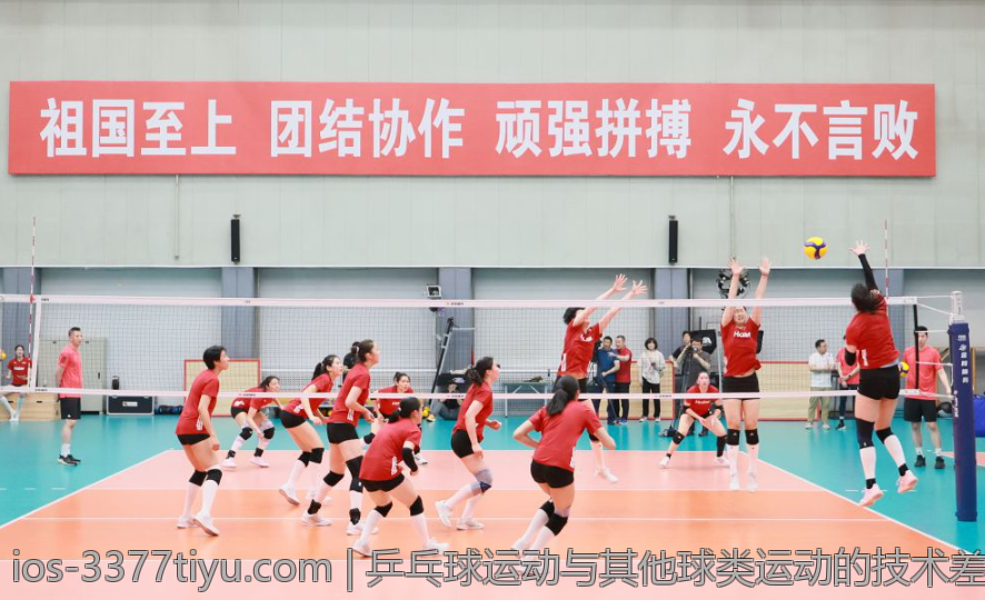 乒乓球运动与其他球类运动的技术差异比较