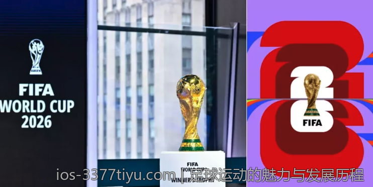 足球运动的魅力与发展历程