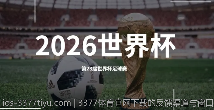 3377体育官网下载的反馈渠道与窗口