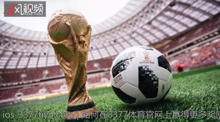 如何在3377体育官网上赢得更多奖励