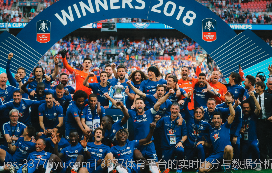 3377体育平台的实时比分与数据分析